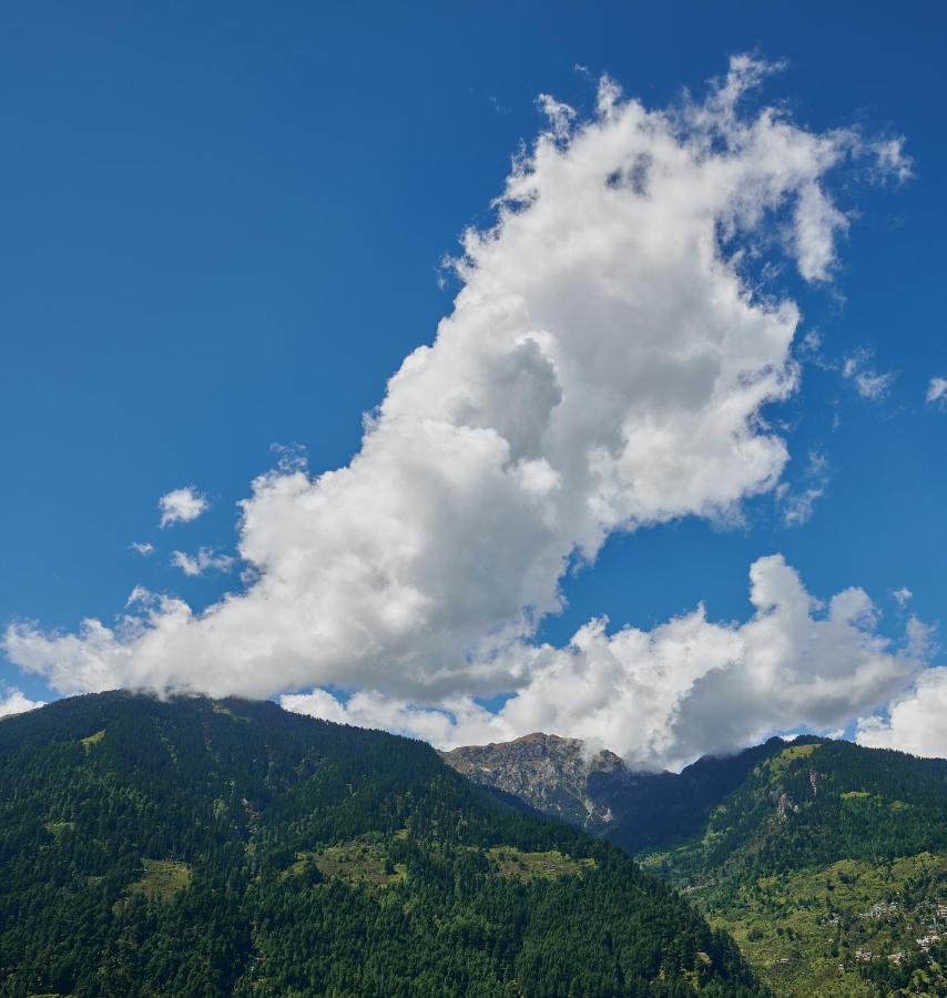 Warehouse X Poshtel Hotel Manali  Bagian luar foto